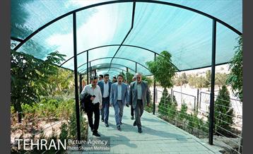 بازدید مدیران شهری تبریز از تهران 33