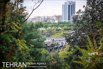 بارش باران پاییزی در تهران 12