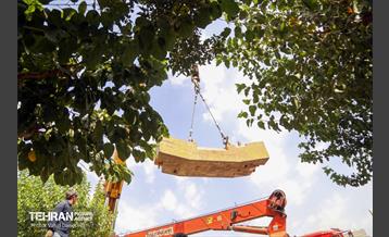 عملیات جمع آوری ریل‌ها و شاسی گذاری در حریم راه آهن تهران اهواز 4