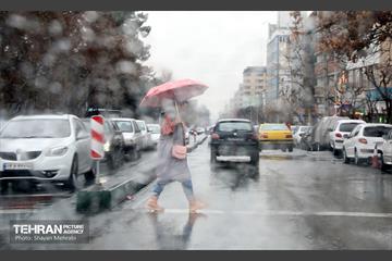 بارش باران زمستانی در تهران 18