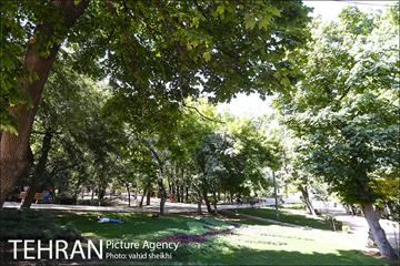 بوستان قیطریه 16