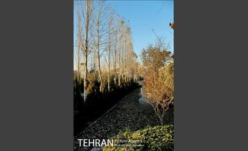 باغ موزه قصر تهران 8