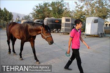 سوارکاری ورزشی برای کودکان‎ 5