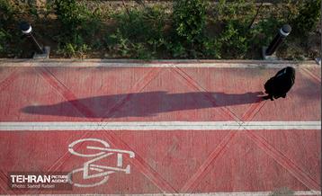 فاز نخست پروژه باغ راه حضرت فاطمه الزهرا(س) 27