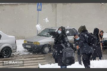 روز برفی پایتخت 38