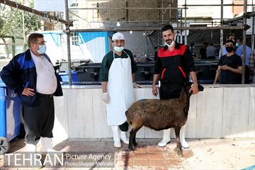 مراکز عرضه دام بهداشتی به مناسبت عید قربان 21