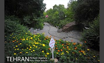 بوستان جمشیدیه 23