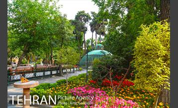 موزه هفت چنار 16