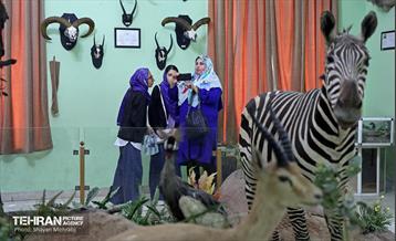 افتتاح اولین سامانه هوشمندسازی موزه‌ها ویژه نابینایان 8