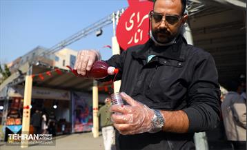 جشنواره انار «صد دانه یاقوت» 2