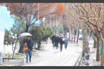 بارش باران زمستانی در تهران 17