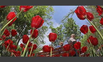 امروز طهران 3