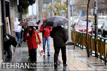 بارش باران بهاری در تهران 28