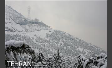 برف زمستانی پارک جمشیدیه 7