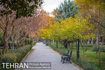 پاییز پارک شهر 24