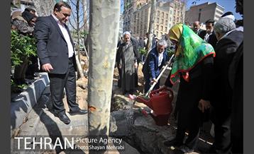 احیای درختان خیابان  ولیعصر( عج) با حضور شهردار تهران  39