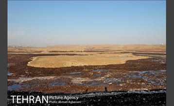 بررسی بوی نامطبوع در مسیر فرودگاه امام خمینی(ره) -2 7