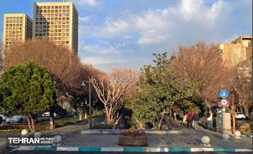 استقبال از بهار - 5 13