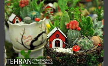 شانزدهمین نمایشگاه بین المللی گل و گیاه تهران - 2 42