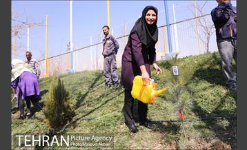 مراسم درختکاری باشگاه سایپا در حضور علی دایی و قهرمانان ملی 21