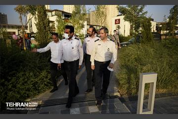 همایش پیاده روی خانوادگی کارکنان سازمان آتش نشانی  21