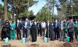 روز درختکاری با حضور مادران شهدا 8