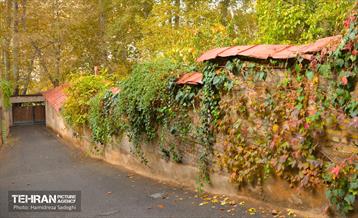 هوای پاییزی پایتخت 40