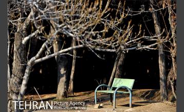 پارک جنگلی سرخه حصار 34