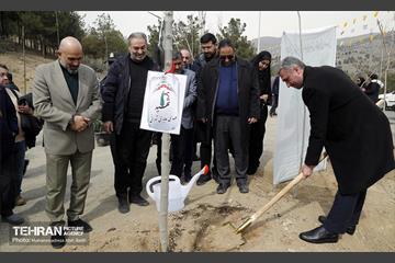 جشن درختکاری در منطقه ۵ 6