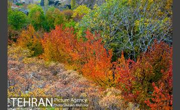 طبیعت پاییزی روستای سنگان 12