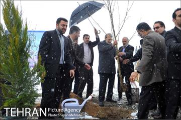 مراسم روز درختکاری با حضور شهردار تهران و رئیس مجلس 20