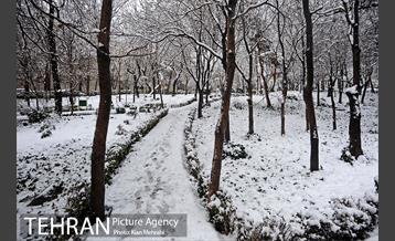 بارش برف زمستانی در تهران 34