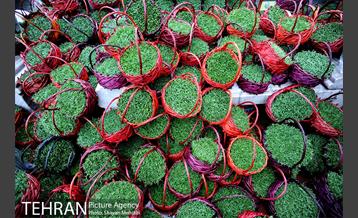 بازار تجریش در آستانه عید نوروز 11