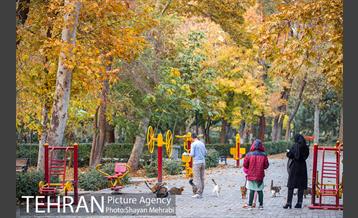 پاییز پارک شهر 13