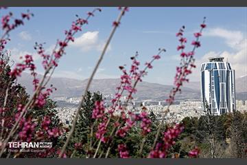 روز طبیعت در بوستان سرخ حصار 3