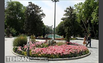 لاله های بهاری پارک شهر 18