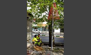 المان های نوروزی در خیابان ولی عصر(عج)  11