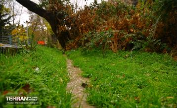 هوای پاییزی پایتخت 20