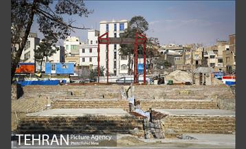 بوستان دامپزشکی 12