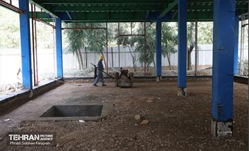 تور بازدید اصحاب رسانه از منطقه ۱۵ 36