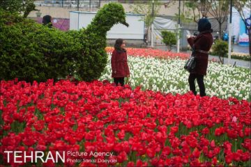 جشنواره لاله‌ها در بوستان زندگی محله هرندی 7