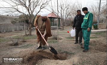 آئین غرس درخت به پاسداشت شهدای منطقه ۵ 3