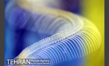 موزه حیات وحش پردیسان 27