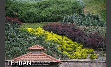 بوستان نهج البلاغه در یک روز بارانی 24
