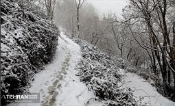 بارش برف زمستانی در تهران 18