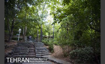 بوستان جمشیدیه 35