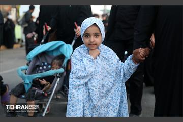 زائران حسینی؛ عمود سلام 7