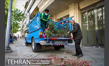 گلکاری در خیابان ولیعصر 12