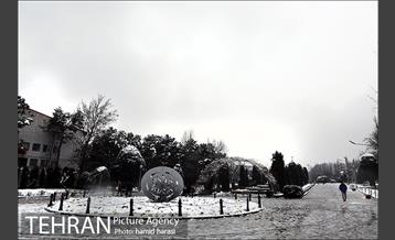 روز برفی بلوار کشاورز 24