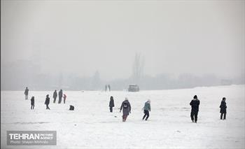 بارش برف در تهران 13